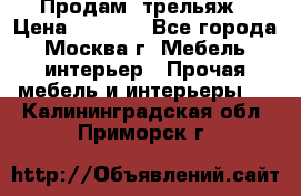 Продам  трельяж › Цена ­ 3 000 - Все города, Москва г. Мебель, интерьер » Прочая мебель и интерьеры   . Калининградская обл.,Приморск г.